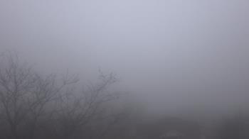 Weather camera view of St Ambrose School.