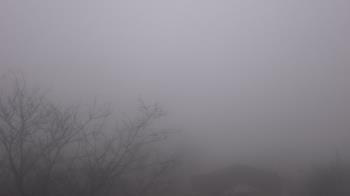 Weather camera view of St Ambrose School.