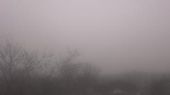 Weather camera view of St Ambrose School.