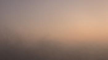 Weather camera view of St Ambrose School.