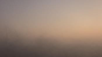 Weather camera view of St Ambrose School.