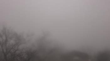 Weather camera view of St Ambrose School.