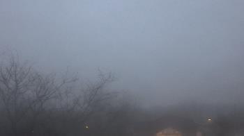 Weather camera view of St Ambrose School.