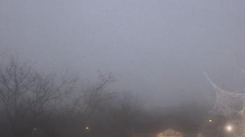 Weather camera view of St Ambrose School.