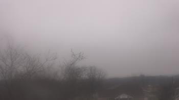 Weather camera view of St Ambrose School.