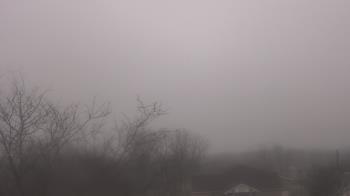 Weather camera view of St Ambrose School.