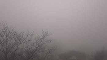 Weather camera view of St Ambrose School.