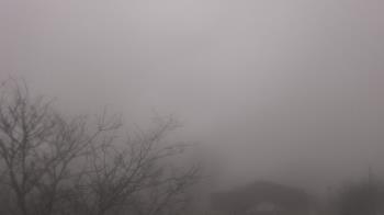 Weather camera view of St Ambrose School.