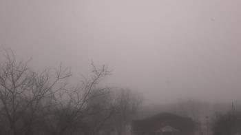 Weather camera view of St Ambrose School.