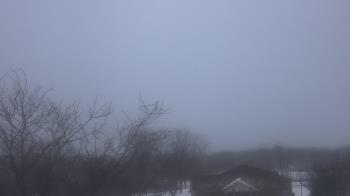 Weather camera view of St Ambrose School.