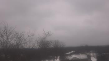 Weather camera view of St Ambrose School.