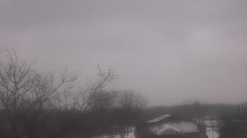 Weather camera view of St Ambrose School.