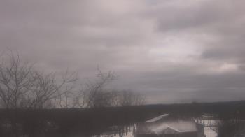 Weather camera view of St Ambrose School.