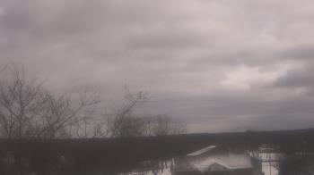 Weather camera view of St Ambrose School.