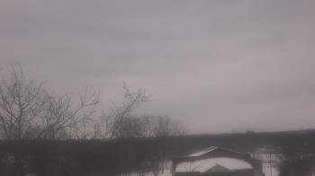 Weather camera view of St Ambrose School.