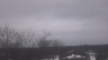 Weather camera view of St Ambrose School.