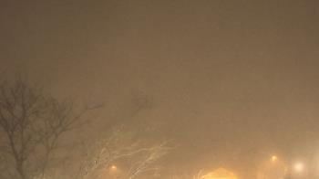 Weather camera view of St Ambrose School.