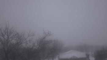 Weather camera view of St Ambrose School.