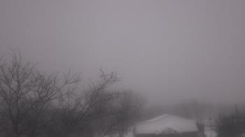 Weather camera view of St Ambrose School.