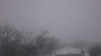 Weather camera view of St Ambrose School.