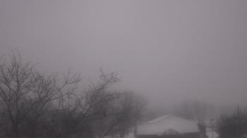 Weather camera view of St Ambrose School.