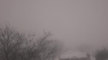 Weather camera view of St Ambrose School.