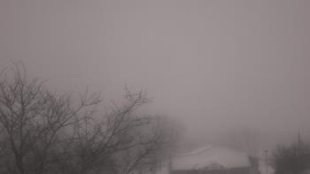 Weather camera view of St Ambrose School.