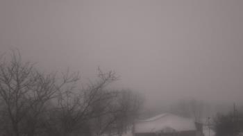 Weather camera view of St Ambrose School.