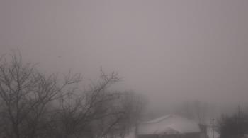 Weather camera view of St Ambrose School.