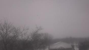 Weather camera view of St Ambrose School.
