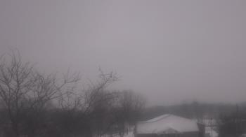 Weather camera view of St Ambrose School.