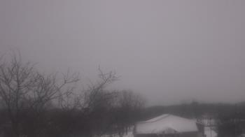 Weather camera view of St Ambrose School.