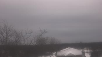 Weather camera view of St Ambrose School.