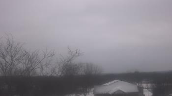 Weather camera view of St Ambrose School.