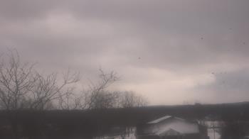 Weather camera view of St Ambrose School.