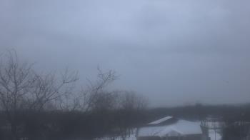 Weather camera view of St Ambrose School.