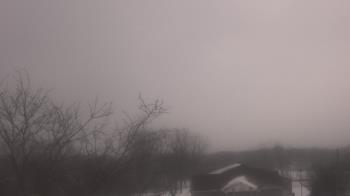 Weather camera view of St Ambrose School.