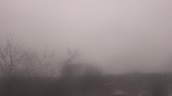 Weather camera view of St Ambrose School.