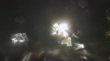 Weather camera view of Boone Scenic Valley Railroad.