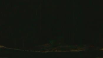 Weather camera view of John Dorr Nature Lab-Horace Mann School.