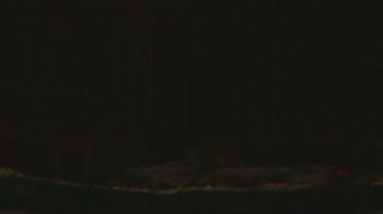 Weather camera view of John Dorr Nature Lab-Horace Mann School.