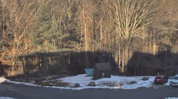 Weather camera view of John Dorr Nature Lab-Horace Mann School.