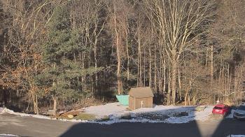 Weather camera view of John Dorr Nature Lab-Horace Mann School.