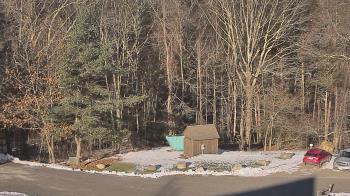 Weather camera view of John Dorr Nature Lab-Horace Mann School.