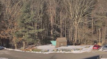 Weather camera view of John Dorr Nature Lab-Horace Mann School.