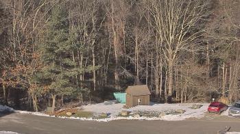 Weather camera view of John Dorr Nature Lab-Horace Mann School.