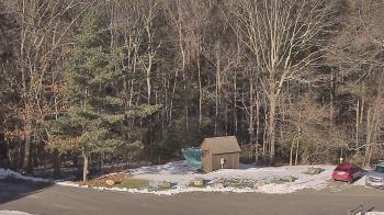 Weather camera view of John Dorr Nature Lab-Horace Mann School.