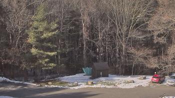Weather camera view of John Dorr Nature Lab-Horace Mann School.