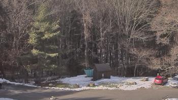 Weather camera view of John Dorr Nature Lab-Horace Mann School.