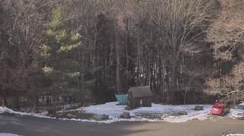 Weather camera view of John Dorr Nature Lab-Horace Mann School.